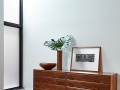 cabbagetown-project005